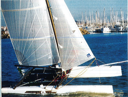 Essai : Le Mystère Cobra